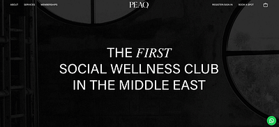 Peaq Wellness | Ecommerce & Web Development - E-commerce