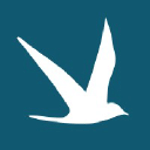 Pittis logo