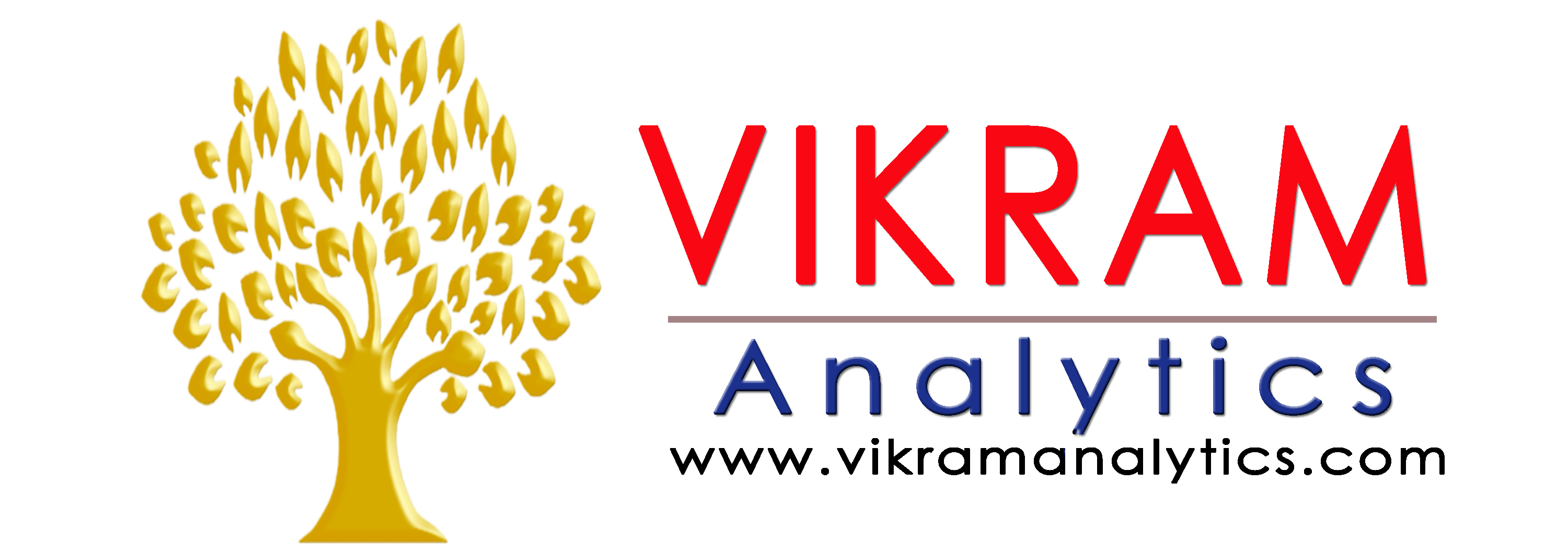 Vikram Analytics