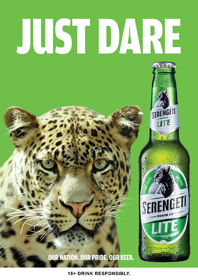 Multi-media campaign for lite beer - Online Advertising