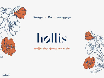 Hollis - Accompagnement - Publicité en ligne