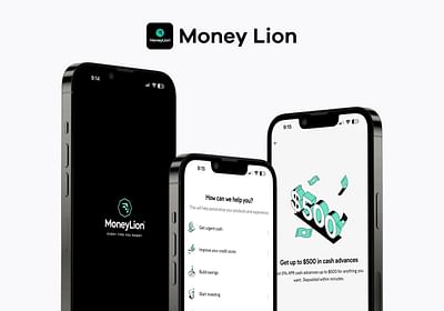 Money Lion - Mobile App