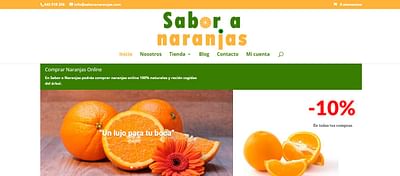 Tienda online Sabor a Naranjas - E-commerce