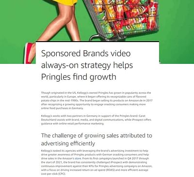 Sponsored Video Ad Strategie für Wachstum - Media Planning