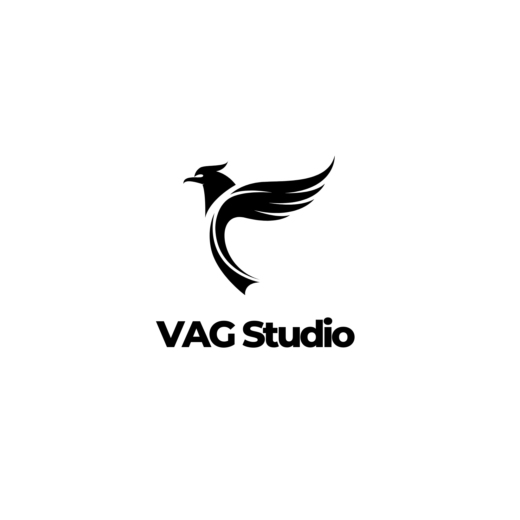VAG Studio