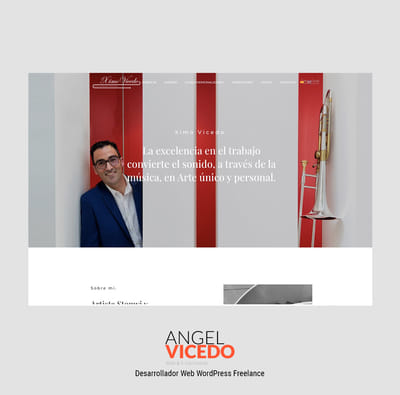 Desarrollo WordPress + WooCommerce - Website Creation