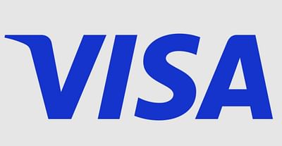 Internal Automation Tool for Visa (Confidential Project) - Développement de Logiciel