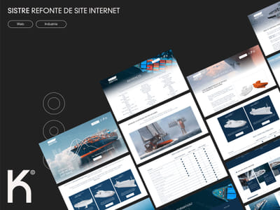 Sistre - Site e-commerce - E-commerce