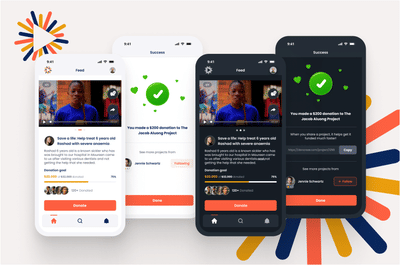 DonorSee - Data Consulting