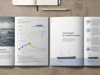 Factsheets marine organisms - Design & graphisme