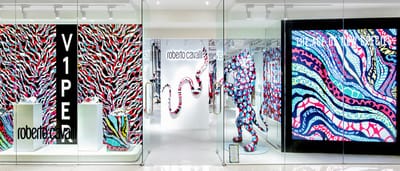 Roberto Cavalli - The age of new species. - Markenbildung & Positionierung